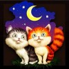 Chatons au clair de lune