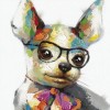 Chien à lunettes