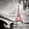 Paris en rose